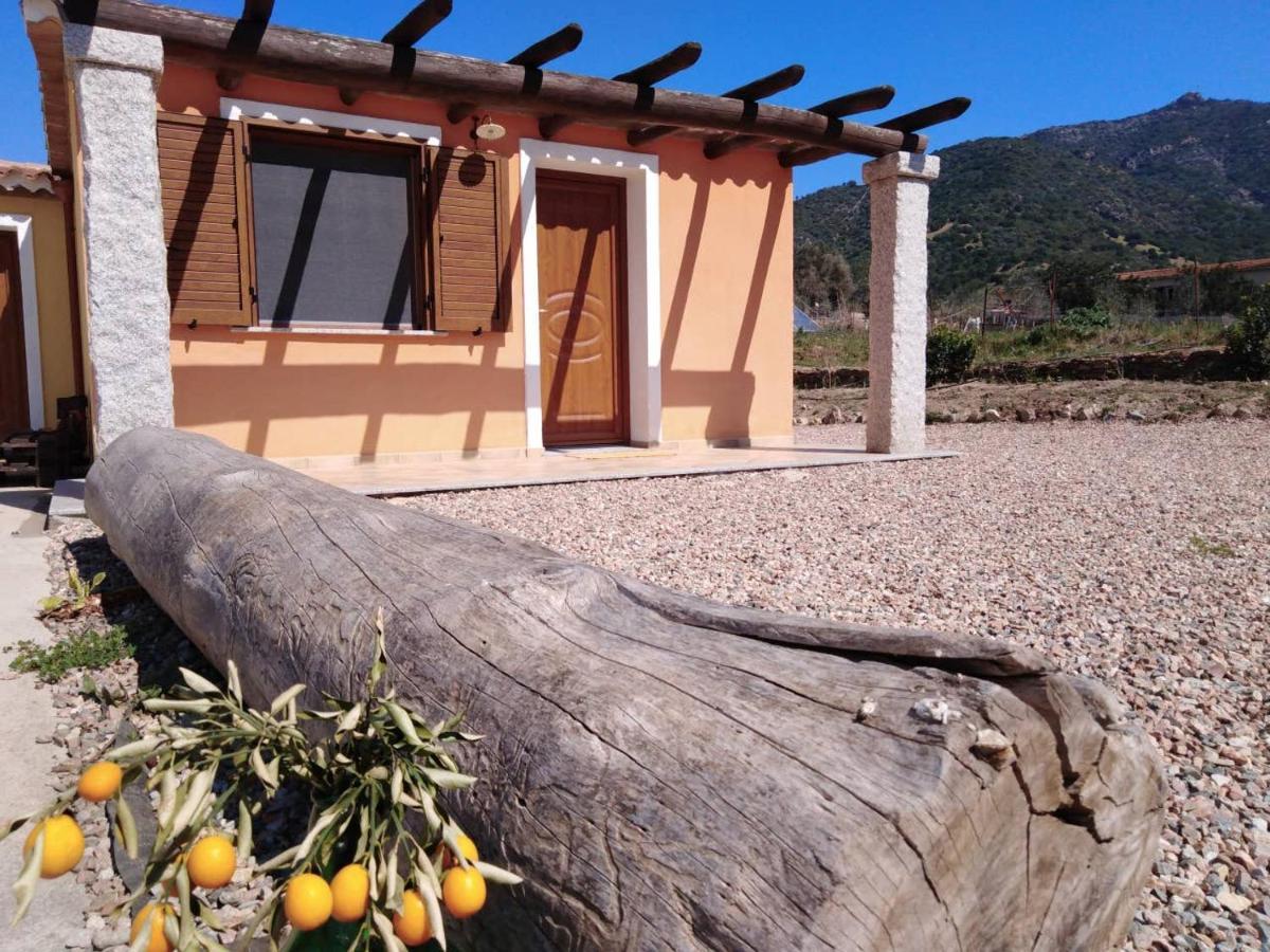Agriturismo Donnolu Tertenìa 外观 照片