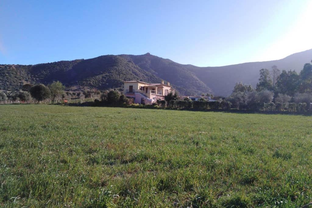 Agriturismo Donnolu Tertenìa 外观 照片