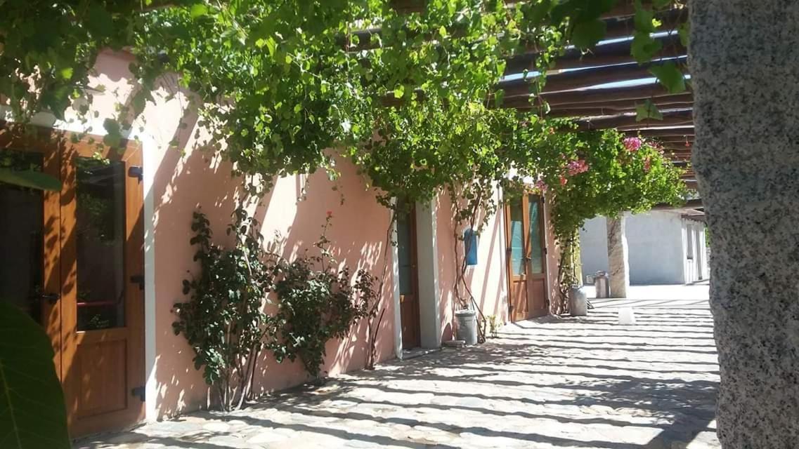 Agriturismo Donnolu Tertenìa 外观 照片